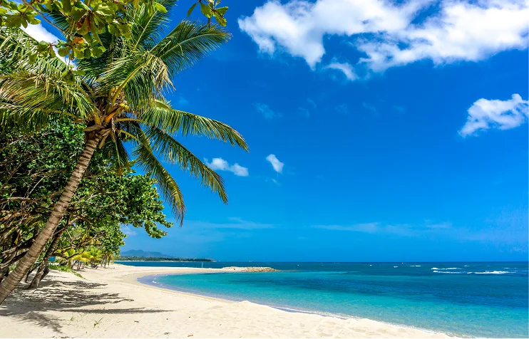 Is Renting a Luxury Villa Cheaper Than Booking Multiple Hotel Rooms?